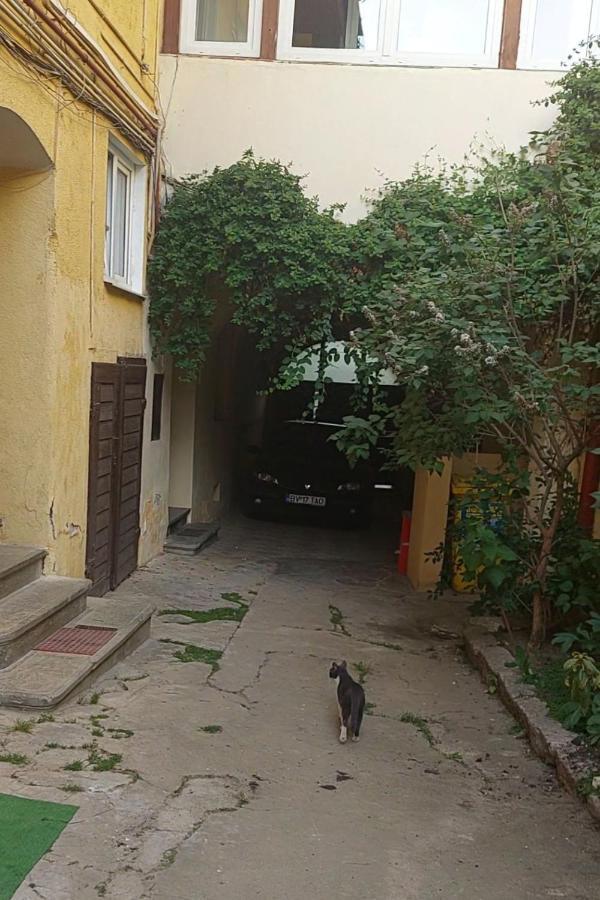Apartament Diaconu Coresi Apartment Brașov Exterior foto